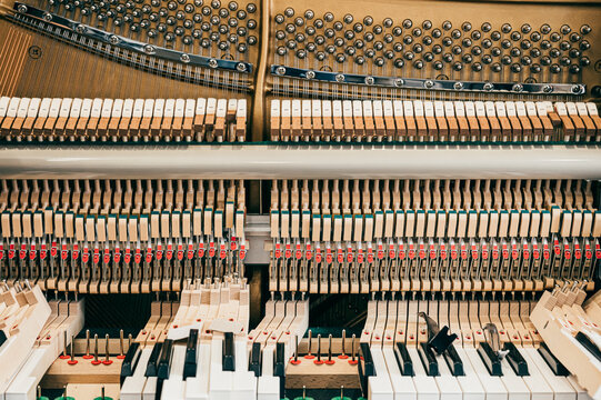Inside of Piano