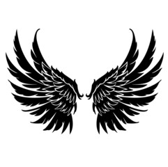 eagle with wings vector