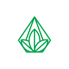 Modern leaf logo design vector 