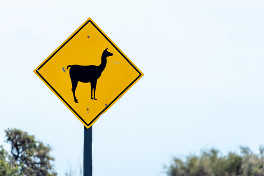 Guanaco warning sign