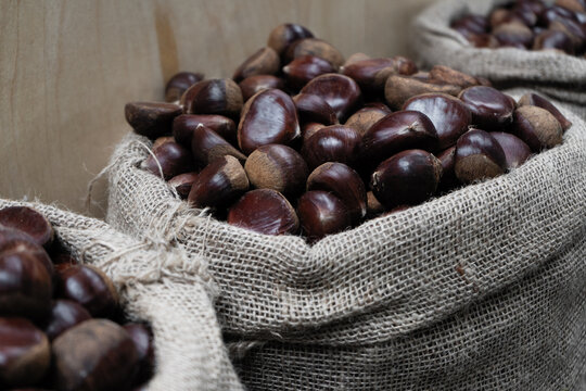 Chestnuts in a sack