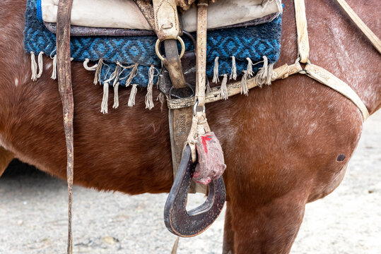 Saddle on a horse