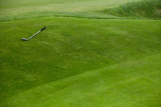 Golf club on the grass