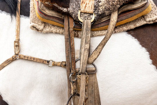 Saddle on a horse