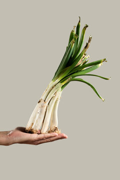 calcots