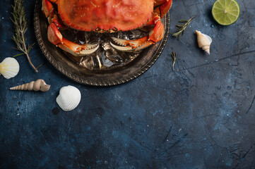 The plate with cooked king crab served with lime, rosemary, ice cube and amazing seashells on dark...