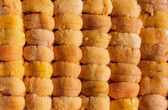 Fresh Japanese Uni Urchin