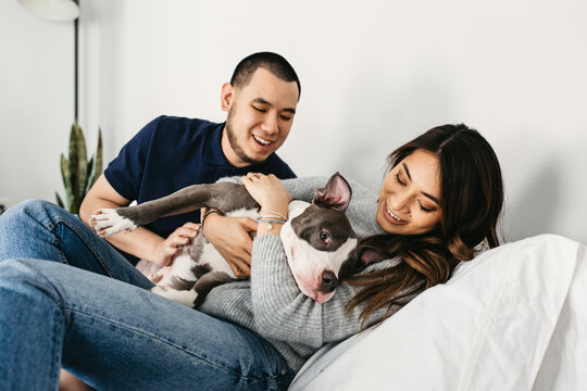 A couple in their house hanging out with their white & grey pit bull.