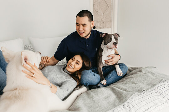 A couple in their house hanging out with their all white Akita and pit bull.