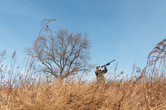 Huntsman shooting at birds near tree