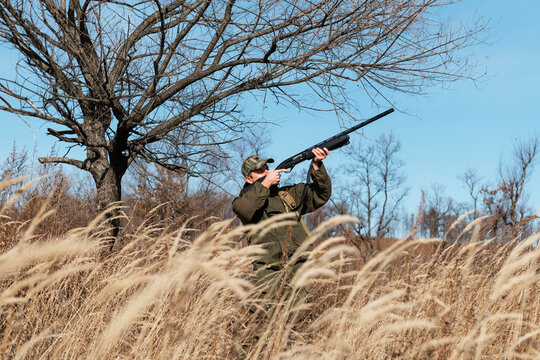 Huntsman shooting at birds near leafless tree