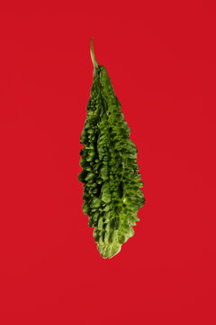 Karela