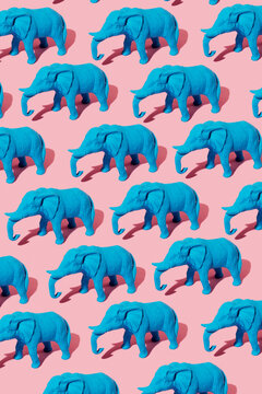 elephants