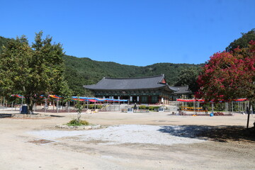 beach in the morning