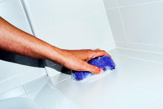 bath sponge