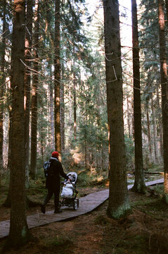 Father and son taking a walk in the forest