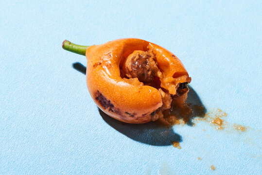 smashed loquat