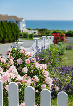 New England Summer Landscape