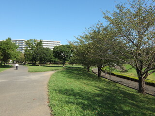 道