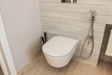toilet in the bathroom, modern toilet ramont