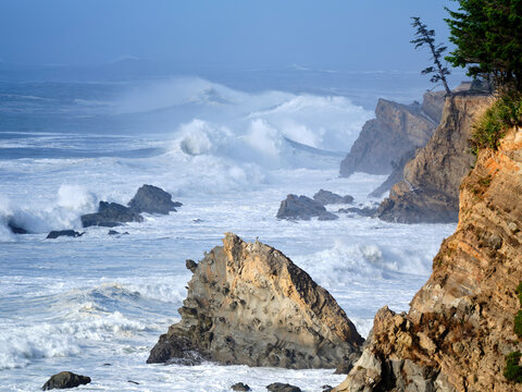 Crashing Oregon Waves  - Powered by Adobe