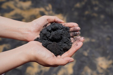 Fine black sand from the unseen black sand beach travel location in Thailand. It is holding on people hand. Natural object close-up photo.