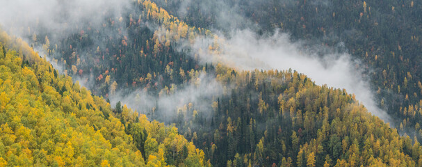 Autumn view. Forested mountain slope, morning fog. Natural background, panorama nature.