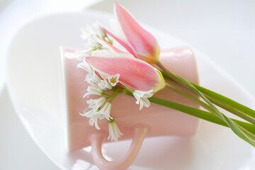 ピンクのチューリップとアリューム