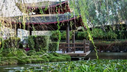 Fototapeta na wymiar Chinese pagoda building set in water garden with willow tree, pond filled with water lilies, orange trees