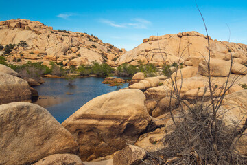 Water in desert. The reservoir above the Barker Dam in Joshua Tree National Park, California
