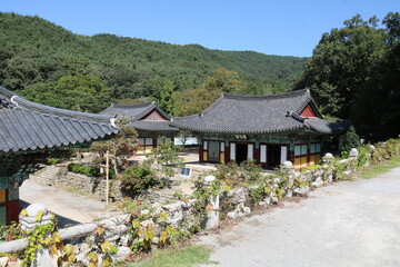 japanese garden in spring