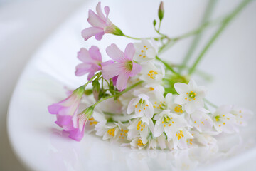 小さい花のアリュームとオキザリスのブーケ
