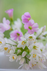 小さい花のアリュームとオキザリスのブーケ