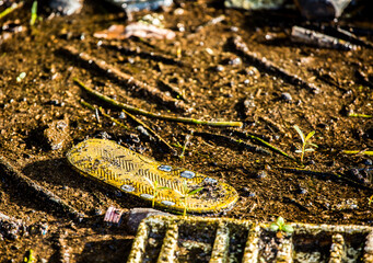 Plastic scrap in the water, rural  canal  Chiangmai Thailand