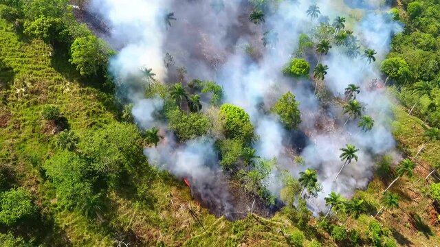 Aerial view overlooking deforestation, smoking tropical forest, a raging wildfire jungle fire, in Pantanal, Brazil, sunny day, South America - rising, pan, drone shot