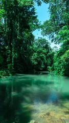 Fototapeta na wymiar Beautiful river with a green color water in Honduras