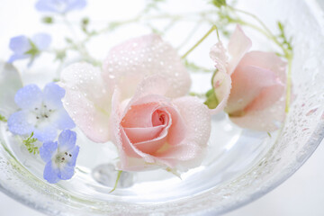 ガラスの器に飾られた薔薇とネモフィラ