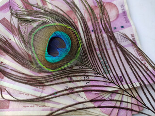 Peacock feathers on money background of two thousand rupees currency space for text and white...