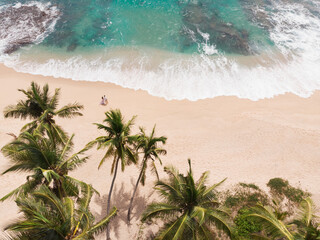 Aerial shot couple walks on the beach between the ocean and palm trees. Couple look at the ocean - bird eye view