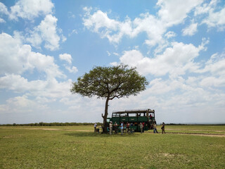 Fototapeta premium Safari in Kenya and Tanzania. Masai-Mara, Serengeti, Ngorongoro,