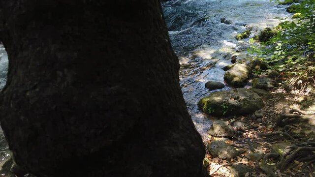 Strong flow of fresh water at the Banias river, at the Golan heights, Israel. Slow motion shot.