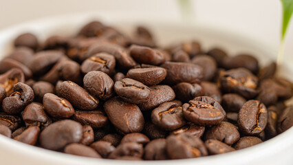 close-up raw coffee beans In the white cup.