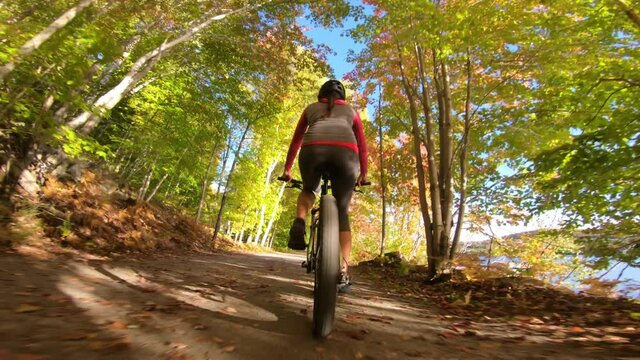 Mountain biking in fall. Mountain biker riding MTB bicycle on forest gravel trail in fall foliage. Close up action shot of with colorful leaves. Woman living healthy Autumn sports lifestyle