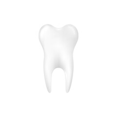 White and healthy human tooth realistic vector illustration isolated on white.