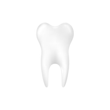 White and healthy human tooth realistic vector illustration isolated on white.