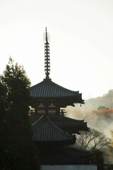 Fototapeta premium 法輪寺の夕