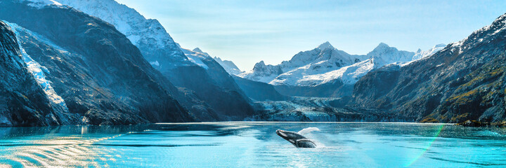 Alaska-Luxuskreuzfahrtreisepanorama. Landschaftslandschaftspanorama mit Buckelwalverbund, der aus dem Wasser auf Gletscherbuchthintergrund heraus bricht.
