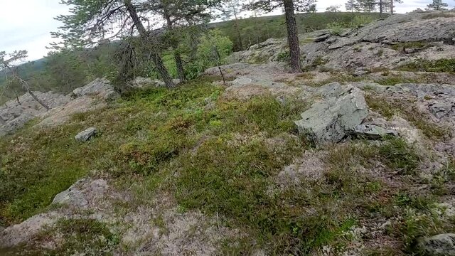 Running through nordic forest POV. Forest with cliffs and scenic view