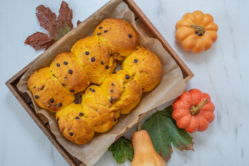 sweet home made pumpkin scones with chocolate