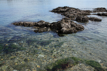 新和歌の浦の磯